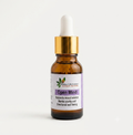 OPEN MIND